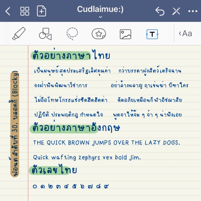 ฟอนต์ลายมือ บลอคกี้